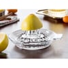 Cam Limon Sıkacağı