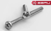 Ebru Yuvarlak Yıldız Başlı YSB Civata M5x90 - 10 Adet