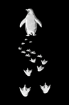 Erkek Nihilist Penguen Temalı Oversize Bisiklet Yaka Tişört - Siyah