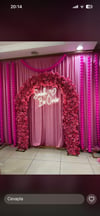 Pembe Bahar Dalı