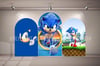 Sonic 3lü Arka Fon (Branda)