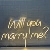 Will You Marry Me Neon