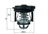 BEHR-T TI24650 - Termostat - Ford Focus Iii Fiesta Vii
