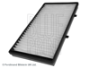 BLUE PRINT ADN12509 - Polen Filtresi - Renault Trafic Ii/vivaro/primastar