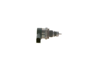 BOSCH 0281002481 - Basinç Valfi - Bmw E46-87-90-91-92-93-60-61-65-x3 E83-x5 E53
