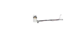 BOSCH 0580202027 - Yakit Pompasi - Bmw E60-e61