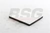 BSG 16-145-005 - Polen Filtresi - Opel Spark M300