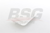 BSG 21-135-001 - Hava Filtresi - Japon Terios (j1)