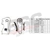 BSG 25-102-005 - Eksantrik Zincir Seti - Fiat Albea Doblo Palio Linea Egea Fiorino Astra Corsa Bipper Nemo
