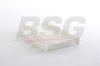 BSG 25-145-009 - Polen Filtresi - Fiat 500l/500 X/ Jeep Renegade