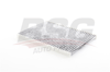 BSG 25-145-017 - Polen Filtresi - Fiat Dodge Voyager