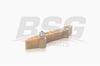 BSG 30-109-034 - Eksantrik Zincir Gergisi - Ford Transit V184