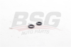 BSG 30-116-088 - Vakum Pompa Oringi - Ford Transit V184