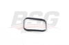 BSG 30-116-196 - Manifold Contasi Emme - Ford Focus/307/407