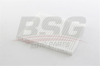 BSG 40-145-006 - Polen Filtresi - Kore Accent Blue/ix35/tucson/sportage