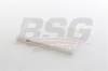 BSG 40-145-010 - Polen Filtresi - Kore I30/ceed