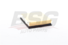 BSG 41-135-003 - Hava Filtresi - Japon Dmax (tfr, Tfs)