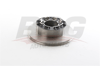 BSG 42-210-002 - Fren Diski Arka - Fiat Daily Ii/iii