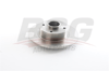 BSG 75-210-027 - Fren Diski Arka - Renault Megane Ii / Twingo / Modus