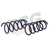 BSG 75-305-040 - Helezon Yayi Arka - Renault Duster