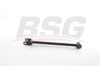 BSG 75-310-107 - Denge Kolu Arka Orta - Renault Duster