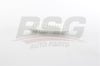 BSG 85-135-010 - Hava Filtresi - Japon Yaris (p1, P9) : Yaris (p9, P13) 1.0 09-14 : Sirion (m3) 1.0 05-10