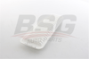 BSG 85-135-017 - Hava Filtresi - Japon Rav4 (a2)