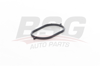 BSG 90-116-005 - Vakum Pompa Lastigi - Vw T4-lt