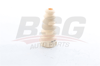 BSG 90-700-341 - Amortisör Lastigi Arka - Vw Jetta-tiguan-passat-q3