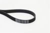 CONTITECH 1555 - V Kayisi - Ford Escort-clx Astra J Insignia Cruze