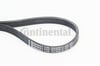 CONTITECH 705ELAST - V Kayisi - Ford Focus