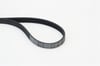 CONTITECH 868ELAST - V Kayisi - Ford Focus/c-max