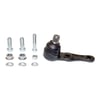 CTR CB0215 - Rotil Alt - Kore Sephia/shuma