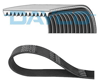 DAYCO 12PK1923HD - V Kayisi - Av Stralis Ii