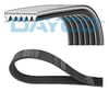 DAYCO 6PK1550S - V Kayisi - Vw T5,5-t6-caddy-amarok
