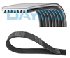 DAYCO 8PK1215HD - V Kayisi - Av Daf, Mercedes-benz, Volvo