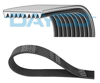 DAYCO 9PK1200HD - V Kayisi - Av Lion`s City, Lion`s Classic
