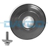DAYCO DPV1068 - Krank Kasnagi - Psa 206/c2/c3/307/bipper/fiesta/focus