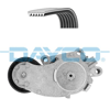 DAYCO KPV333 - V Kayis Seti - Psa 207/208/308/407/508/partner Tepee