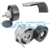 DAYCO KPV806 - V Kayis Seti - Vw A4