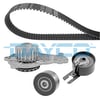 DAYCO KTBWP3100 - Triger Seti+devirdaim - Psa C2/c3/nemo/bipper/206/307/fiesta