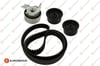 EUROREPAR 1611884880 - Triger Set Takimi - Opel Vectra B