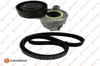EUROREPAR 1612057580 - V Kayis Seti - Renault Clio/kango/megan Ii-iii/fluence/sandero/dokker