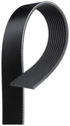 GATES 10PK1460HD - Kanalli V Kayisi - Av Magnum