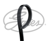 GATES 4PK725XS - V Kayisi - Renault Logan/sandero