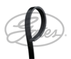 GATES 4PK916-890SF - V Kayisi - Renault Logan/kangoo Ii