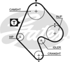 GATES 5048 - Triger Kayisi - Opel Astra F