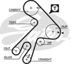 GATES 5057XS - Triger Kayisi - Japon Corona (t19) : Carina E (t19) 2.0 D 95-97 : Avensis (t22) 2.0 D 97-00