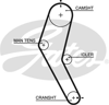 GATES 5422 - Triger Kayisi - Japon Vivio