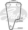 GATES 5505XS - Triger Kayisi - Japon Crv (rd)